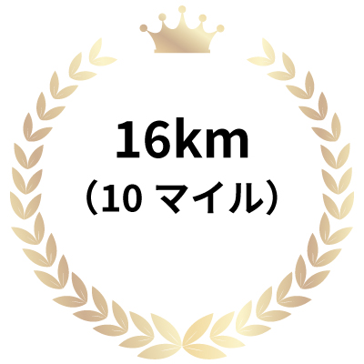 16km（10マイル）